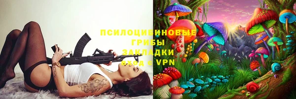 сатива Красноперекопск
